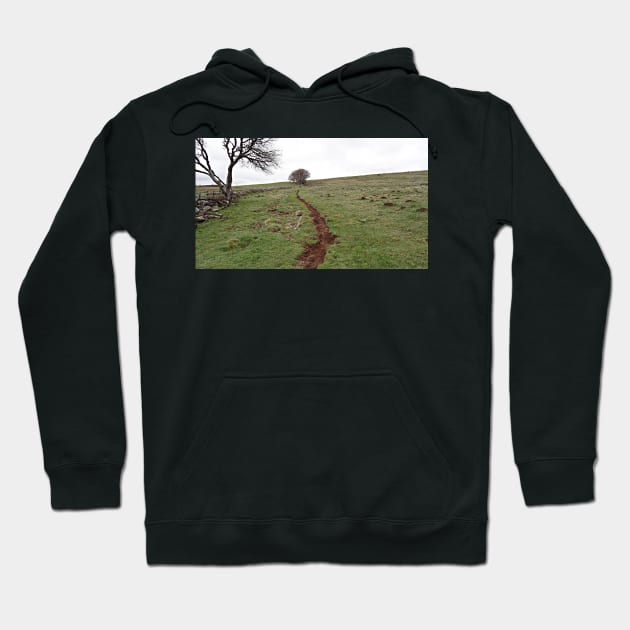 GR_011_WGC Hoodie by wgcosby